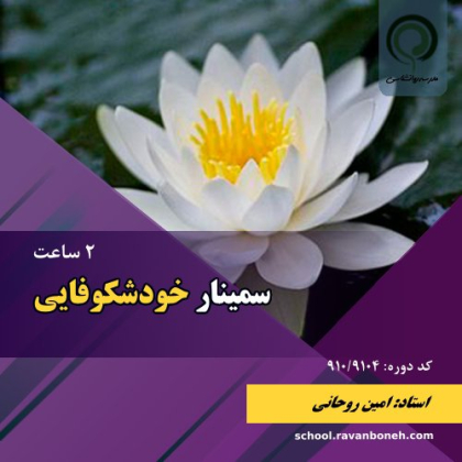 سمینار خودشکوفایی - کد 910/9104