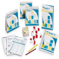 جزوه اجرا، تفسیر و گزارش وکسلر 4 - مینا ملکی