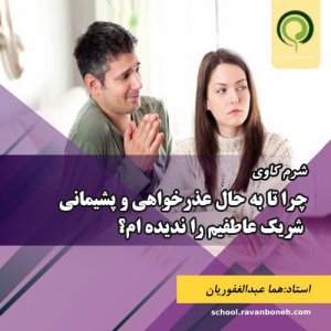 چرا تا به حال عذرخواهی و پشیمانی شریک عاطفیم را ندیده ام؟- کد 913/9131/17