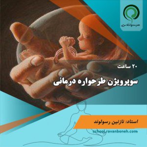 سوپرویژن طرحواره درمانی - کد 222/2028