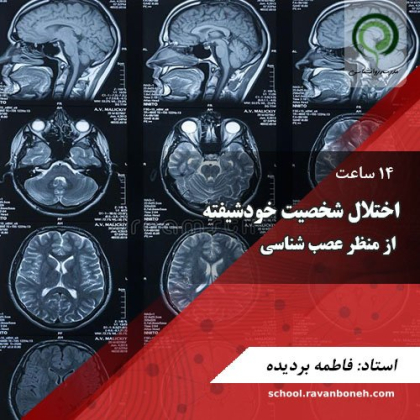 کارگاه اختلال شخصیت خودشیفته از منظر عصب شناسی - کد411/420