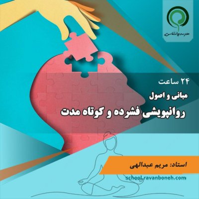 مبانی و اصول روانپویشی فشرده و کوتاه مدت - کد 221/2036