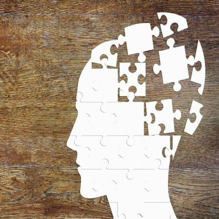 دورهمی علمی دانشجویان مدرسه: سازمان شخصیت بردرلاین - عنوان سمینار: Rootlessness - نسرین صالحی