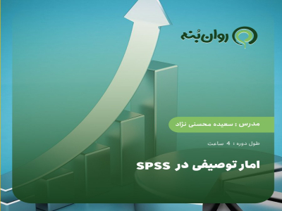 امار توصیفی در SPSS