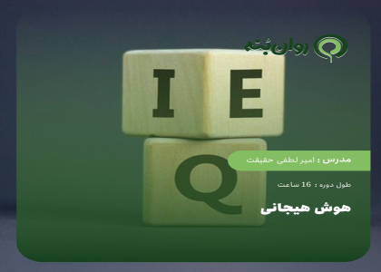 هوش هیجانی