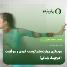 مربیگری مهارت‌های توسعه فردی و موفقیت (کوچینگ زندگی)