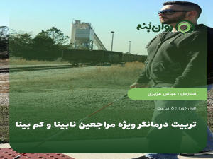 تربیت درمانگر ویژه مراجعین نابینا و کم بینا
