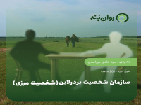 سازمان شخصیت بردرلاین (شخصیت مرزی)