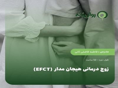 زوج درمانی هیجان مدار (EFCT)