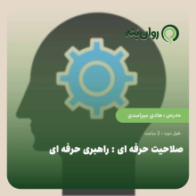 صلاحیت حرفه ای: راهبری حرفه ای