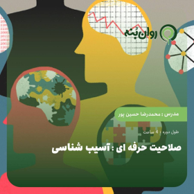 صلاحیت حرفه ای: آسیب شناسی