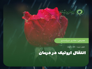 انتقال اروتیک در درمان