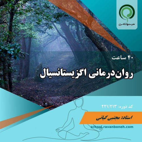 کارگاه روان درمانی اگزیستانسیال - کد 221/213