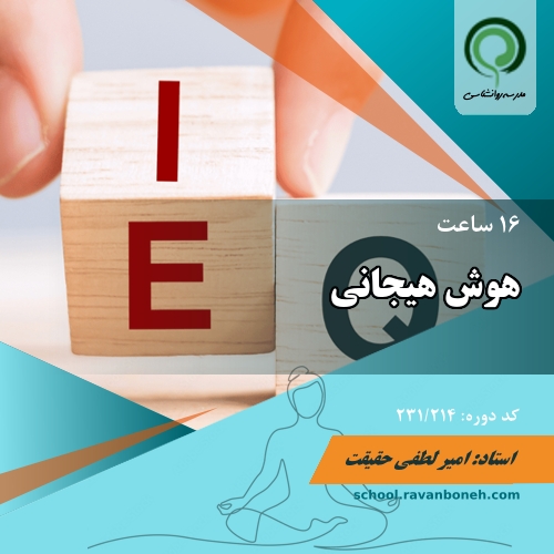 هوش هیجانی - کد 231/214