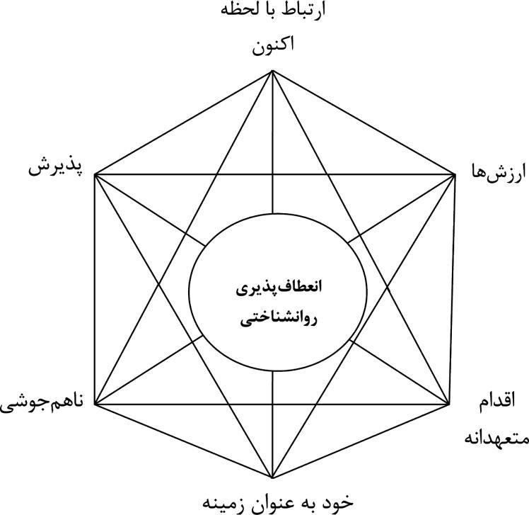 جزوه درمان مبتنی بر تعهد و پذیرش ACT